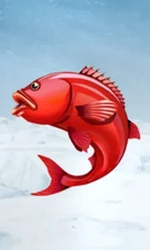 Ice Fishing